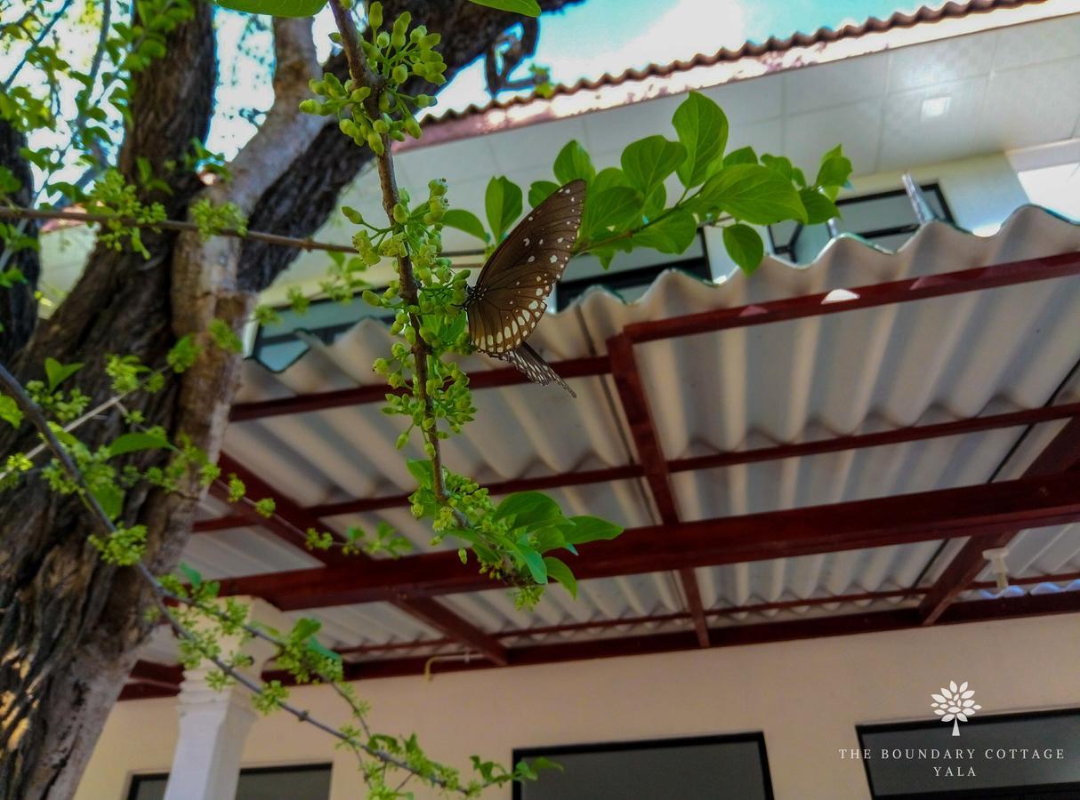 The Boundary Yala Hotel Kataragama Ngoại thất bức ảnh