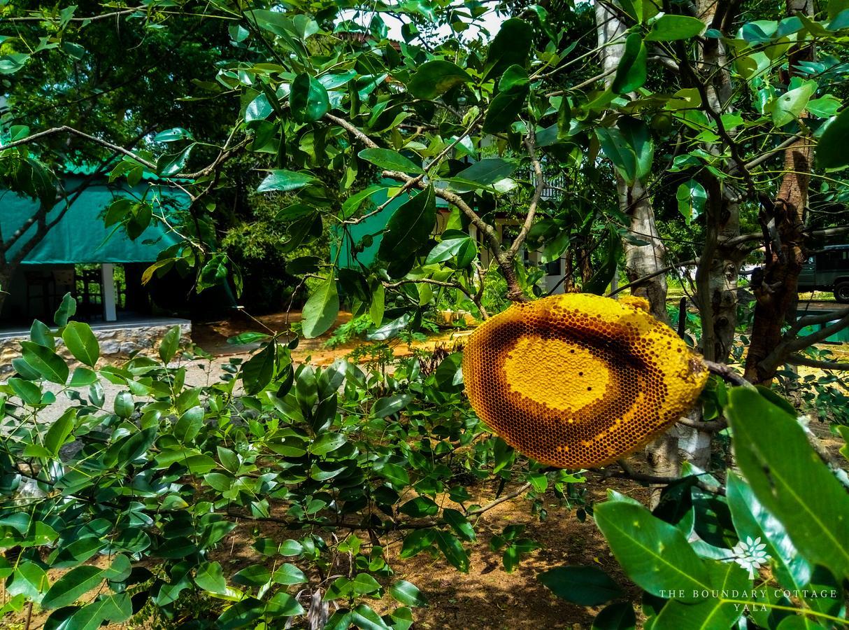 The Boundary Yala Hotel Kataragama Ngoại thất bức ảnh